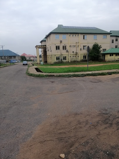 Chukwuemeka Odumegwu Ojukwu University Teaching Hospital