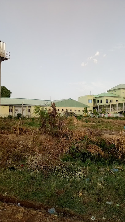 Exit Gate National Orthopedic Hospital Dala