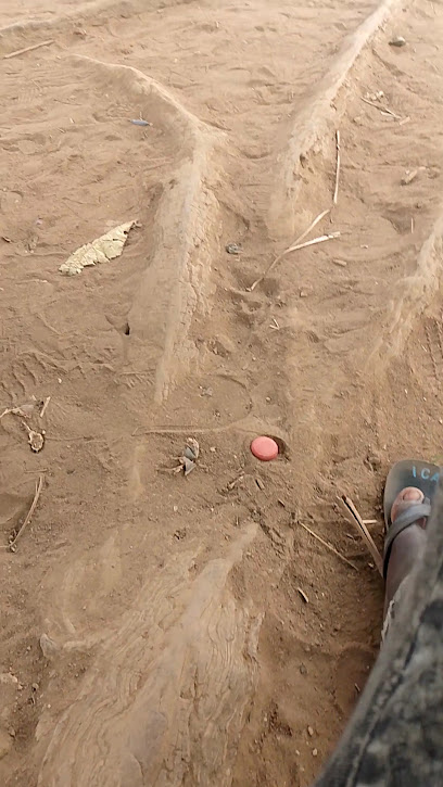 Kaura Goje Primary Health Care Centre Prp Qrtrs Kano