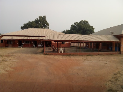 micheal imoudu comprehensive health center