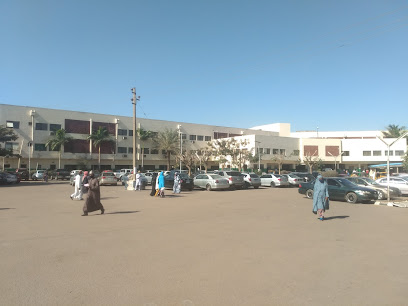 Muhammad A Wase Hospital