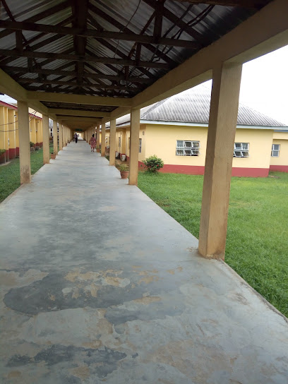 University Of Uyo Teaching Hospital